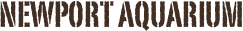 Newport Aquarium